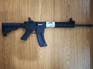 SMITH & WESSON MP15-22